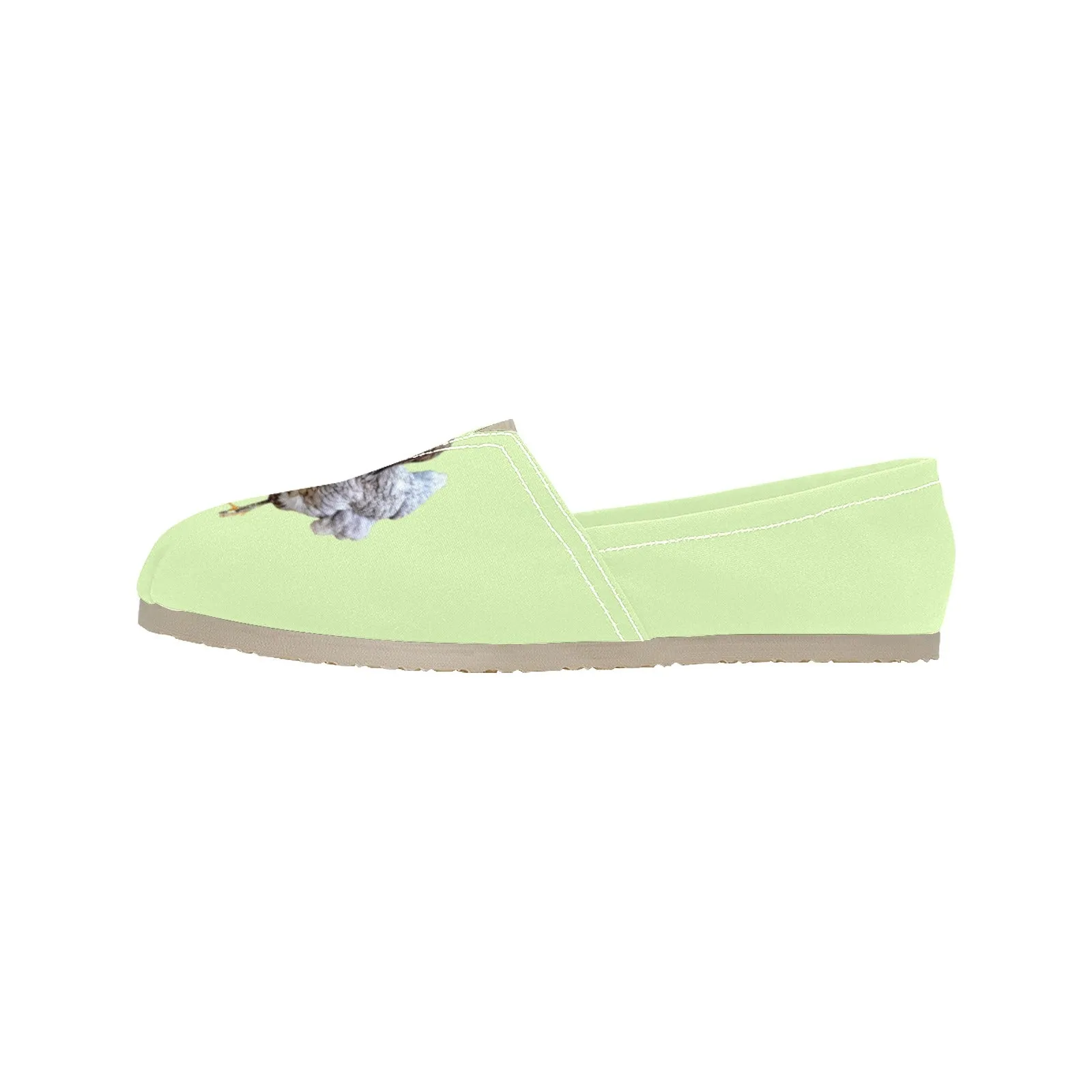 Espadrilles Canvas Chickens Celadon Women's Canvas Slip-On Shoes(Model1206)
