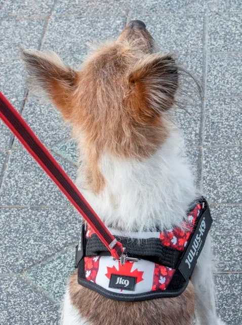 IDC® Powerharness  - Canada Flag Harness