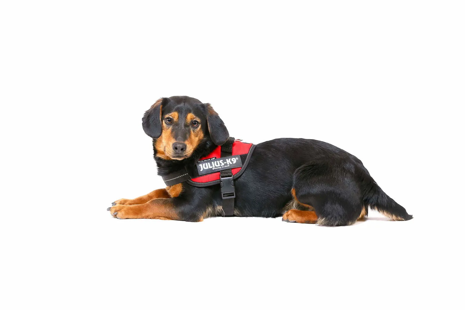 IDC® Powerharness - Red