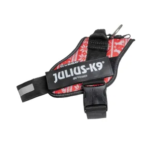 Limited Edition - Christmas Sweater Harness